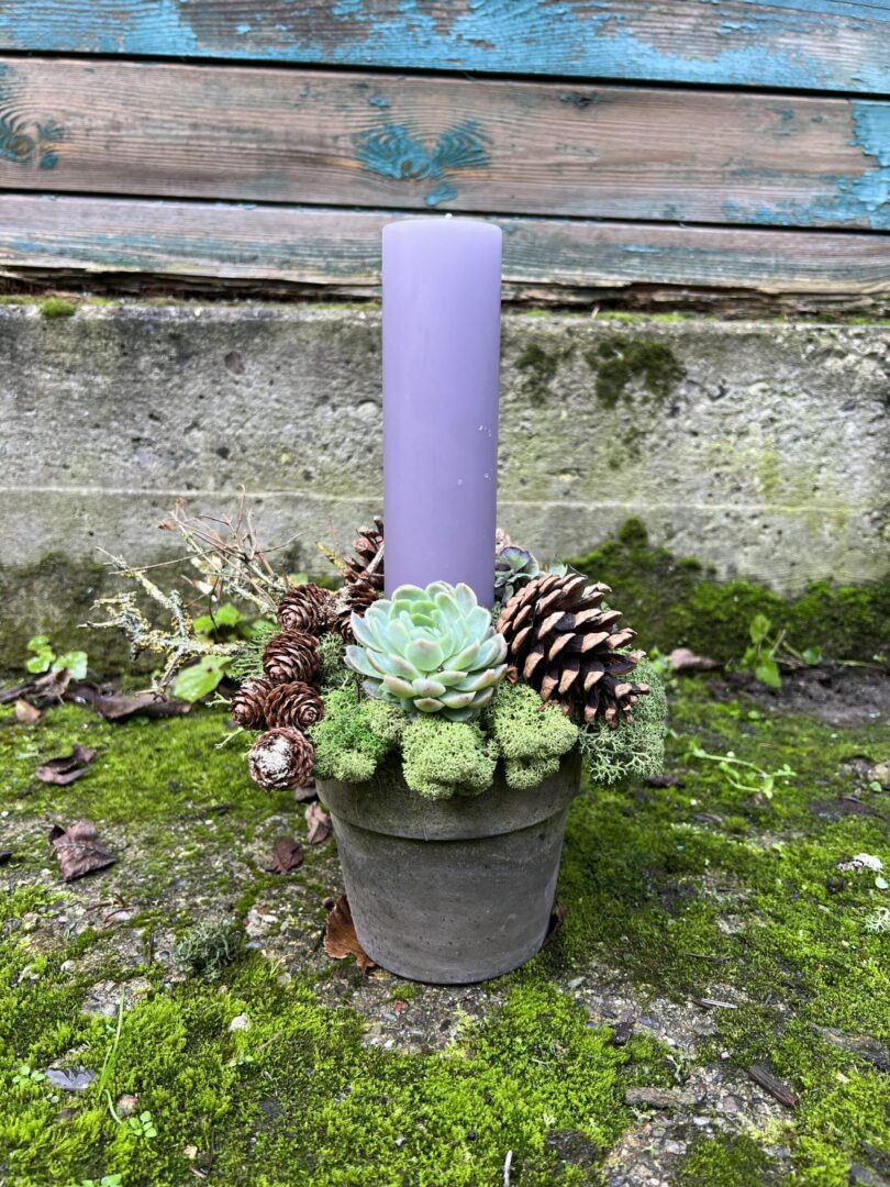 Juledekoration Lilla 2022 - Happyflower-dk