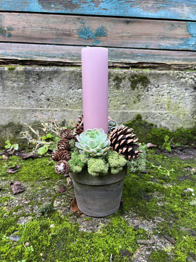 Juledekoration Lyserød 2022 - Happyflower-dk