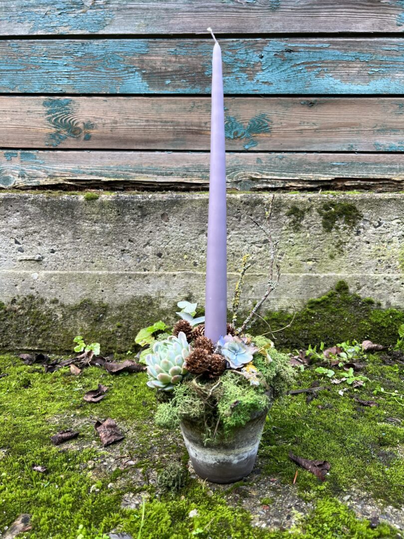 Juledekoration stagelys Lilla 2022 - Happyflower-dk