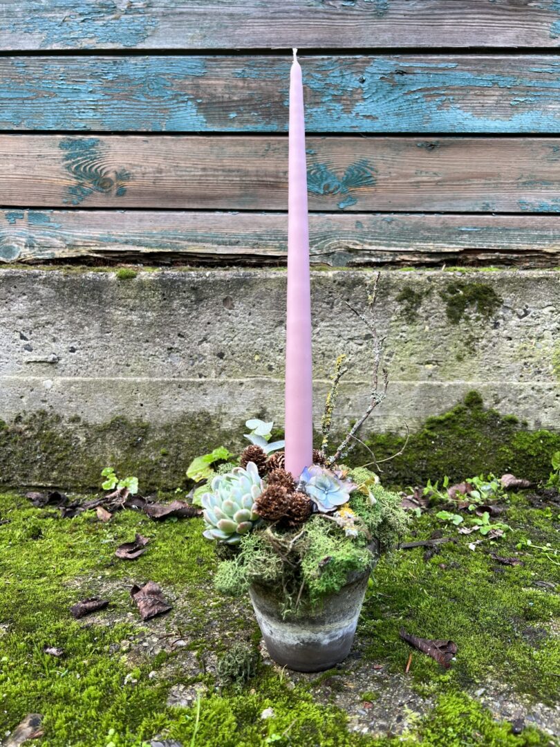 Juledekoration stagelys Lyserød 2022 - Happyflower-dk