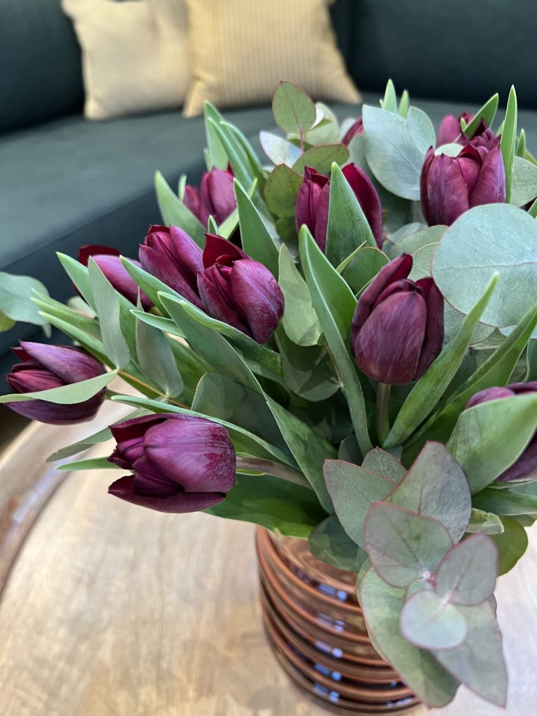 Tulipan buket - Mørk - Send tulipaner - Happyflower-dk