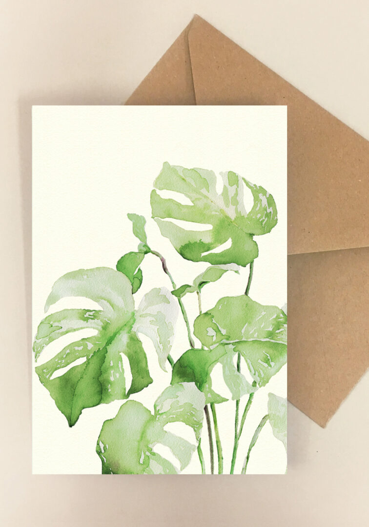 Blomsterkort Monstera Albo - Happyflower-dk