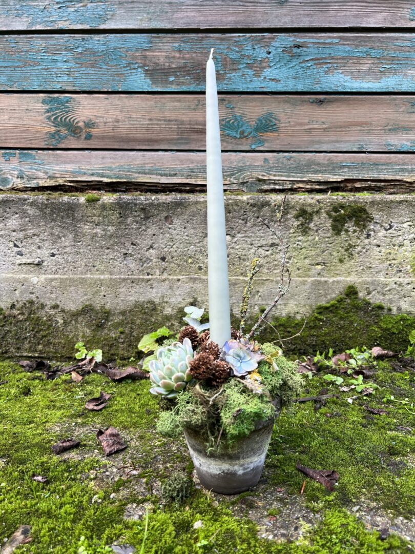 Juledekoration stagelys Antikgrøn 2022 - Happyflower-dk