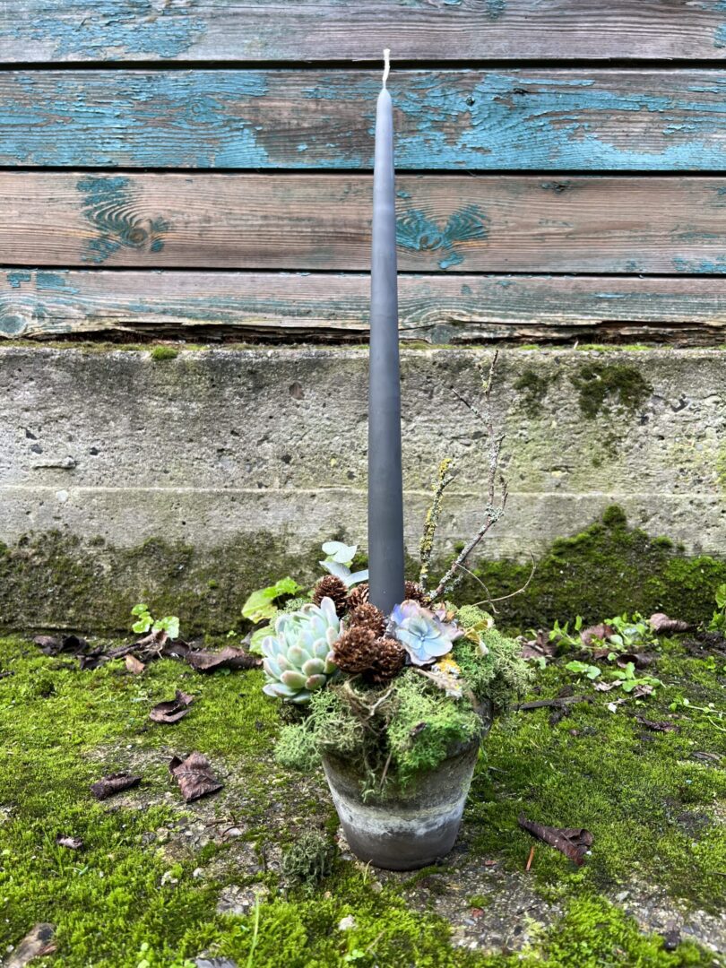 Juledekoration stagelys Mørkegrå 2022 - Happyflower-dk