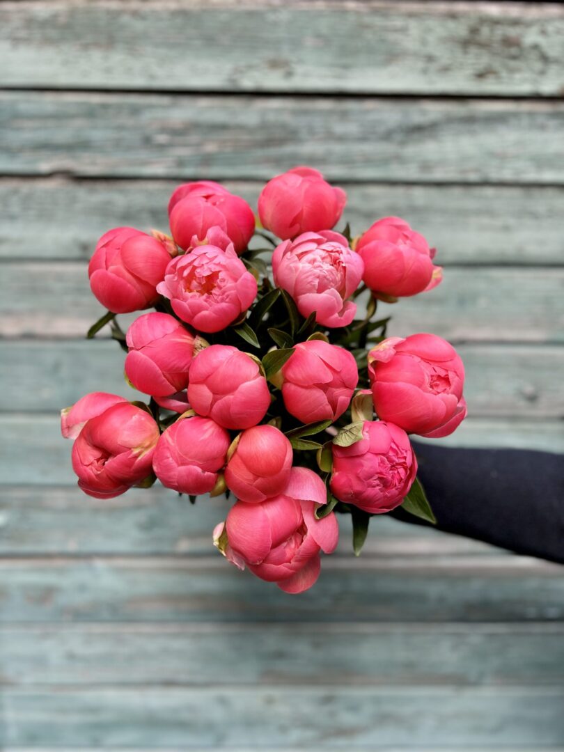 Pæonbuket Coral Charm - Happyflower-dk