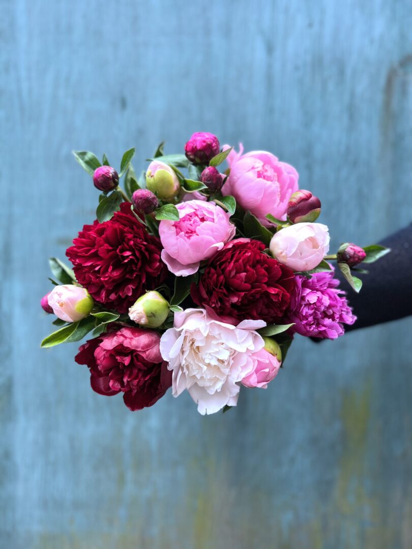 Pæonbuket - Send blomster - Happyflower-dk