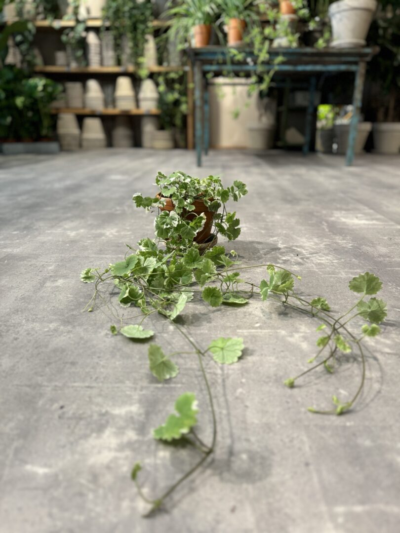 Mølleren og hans kone - Happyflower-dk