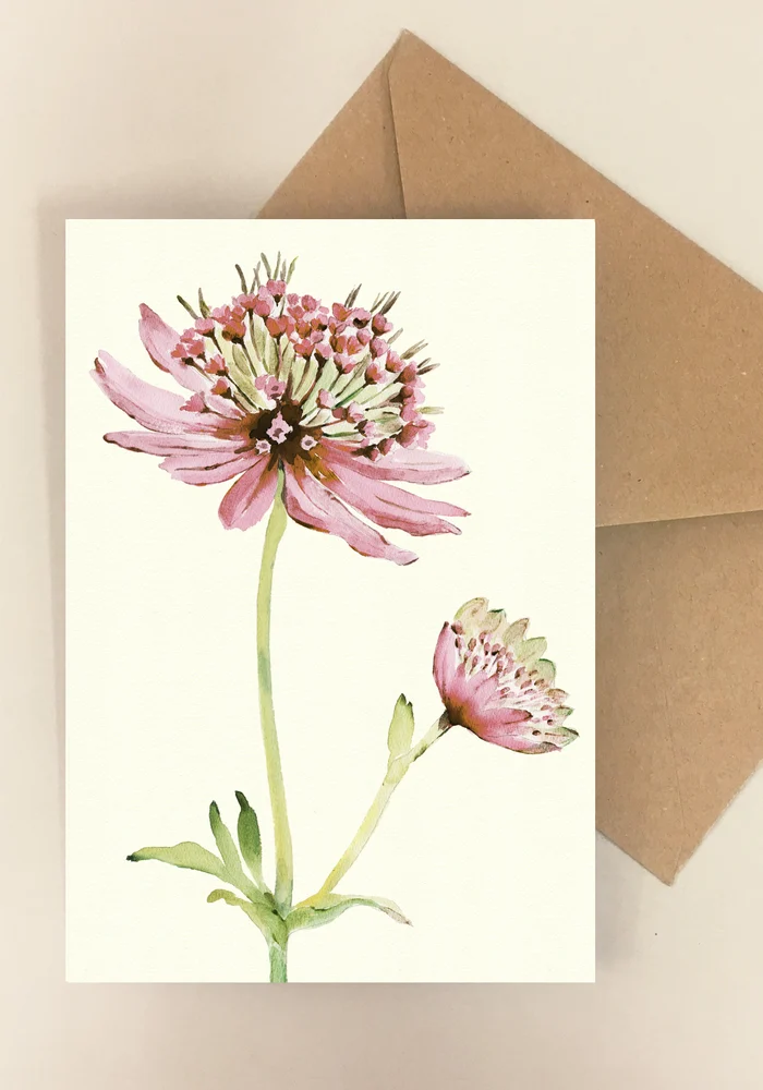 Blomsterkort Astrantia - Dorthe Svarrer - Happyflower-dk