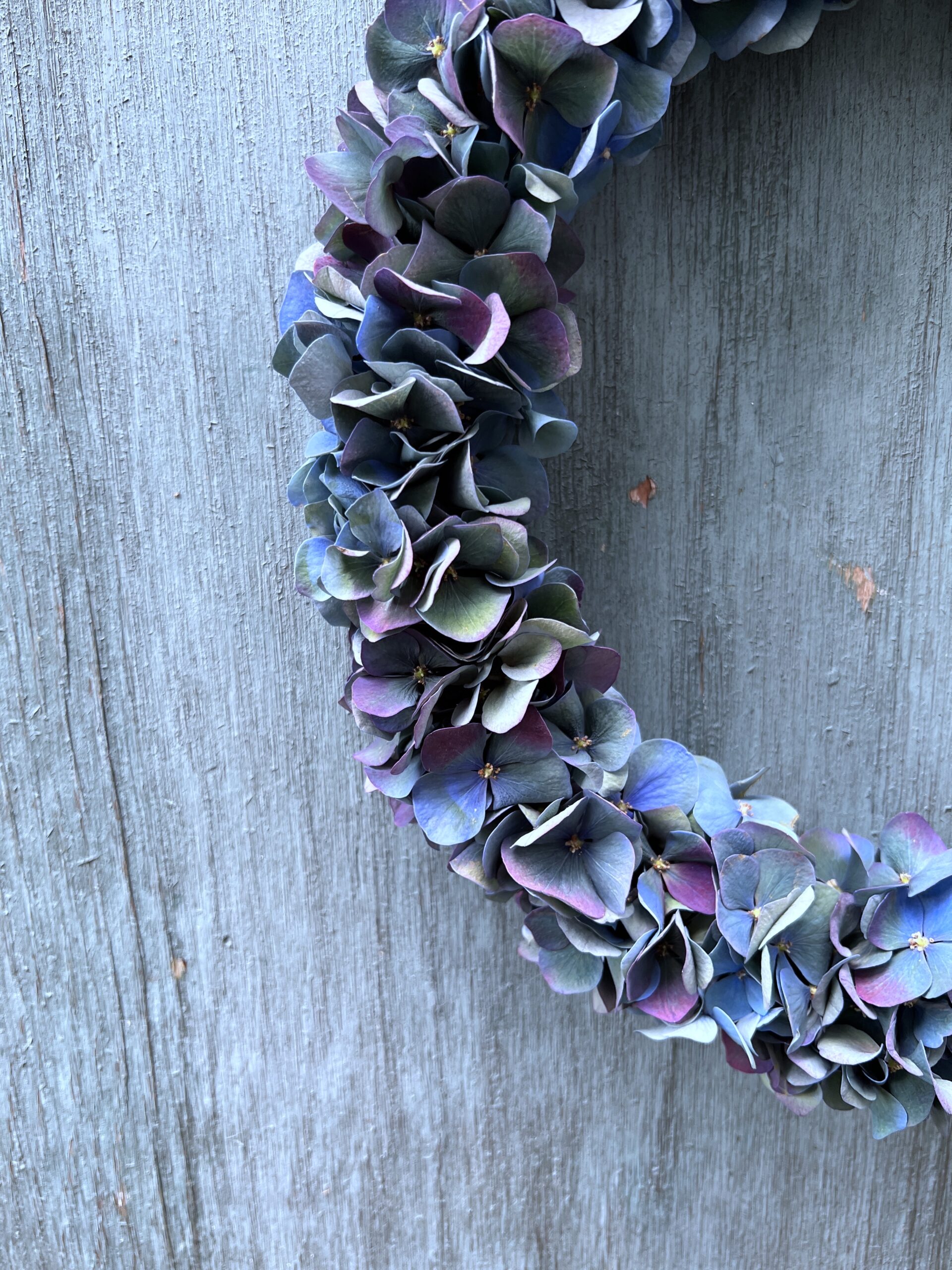 Hortensiakrans Pimpernel - Happyflower-dk1