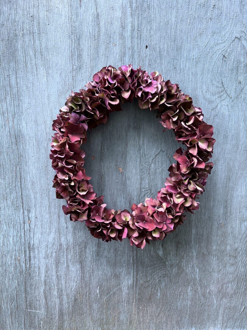 Hortensiakrans Ruby Red - Happyflower-dk