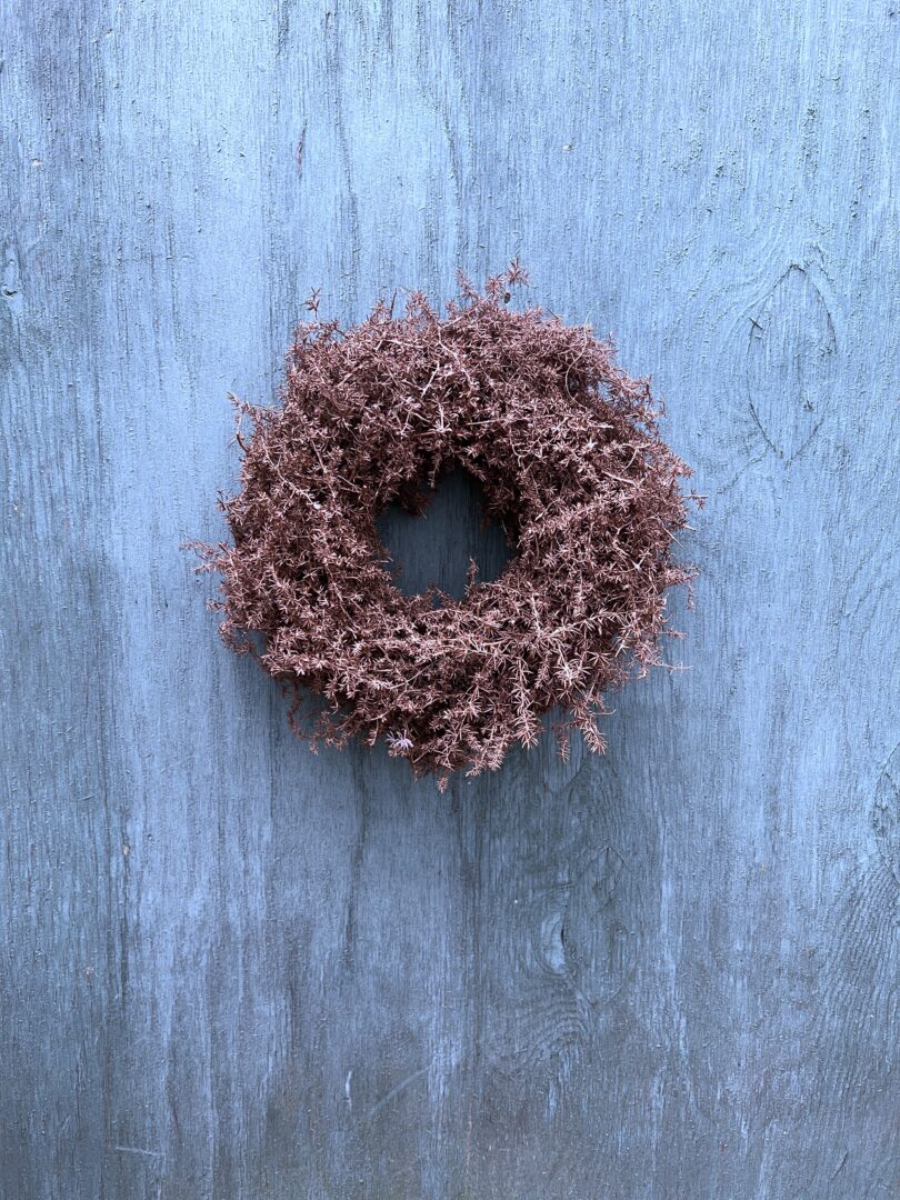 Asparagus krans Cobber - Happyflower-dk