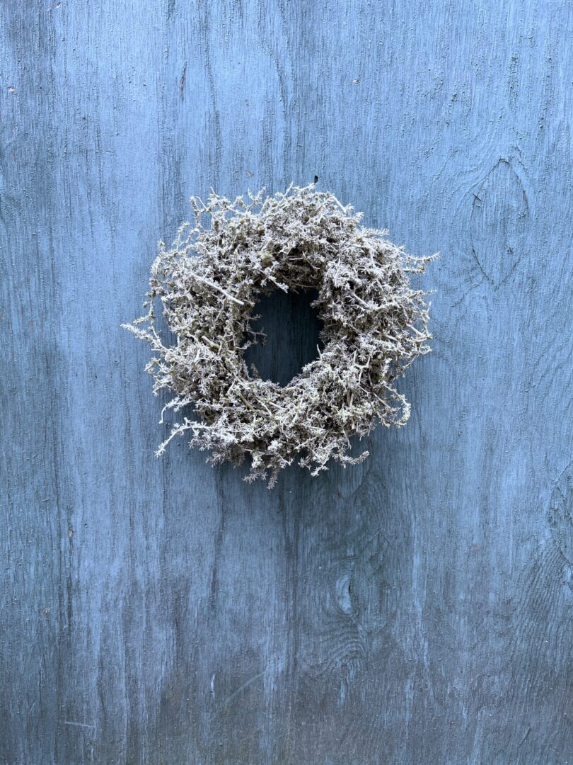 Asparagus krans Olive - Happyflower-dk