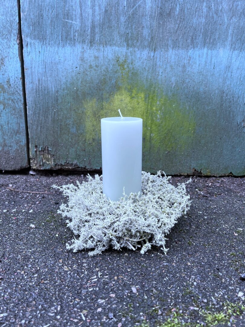 Asparagus krans Olive med bloklys - Happyflower-dk