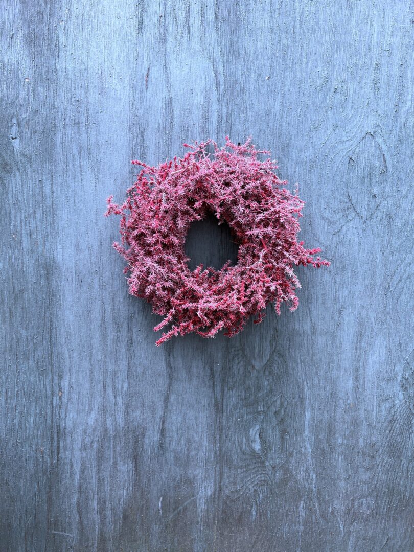 Asparagus krans Red - Happyflower-dk