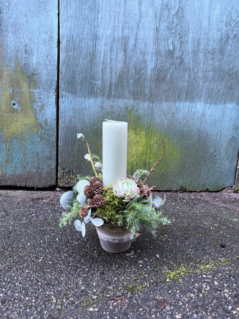 Juledekoration natur Antikgrøn 2023 - Happyflower-dk