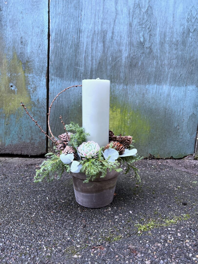 Juledekoration natur stor Antikgrøn 2023 - Happyflower-dk