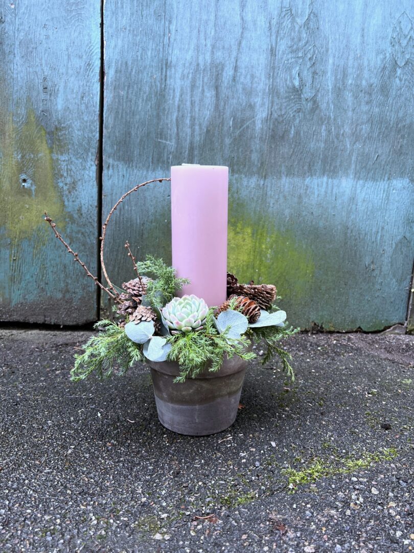 Juledekoration natur stor Lyserød 2023 - Happyflower-dk