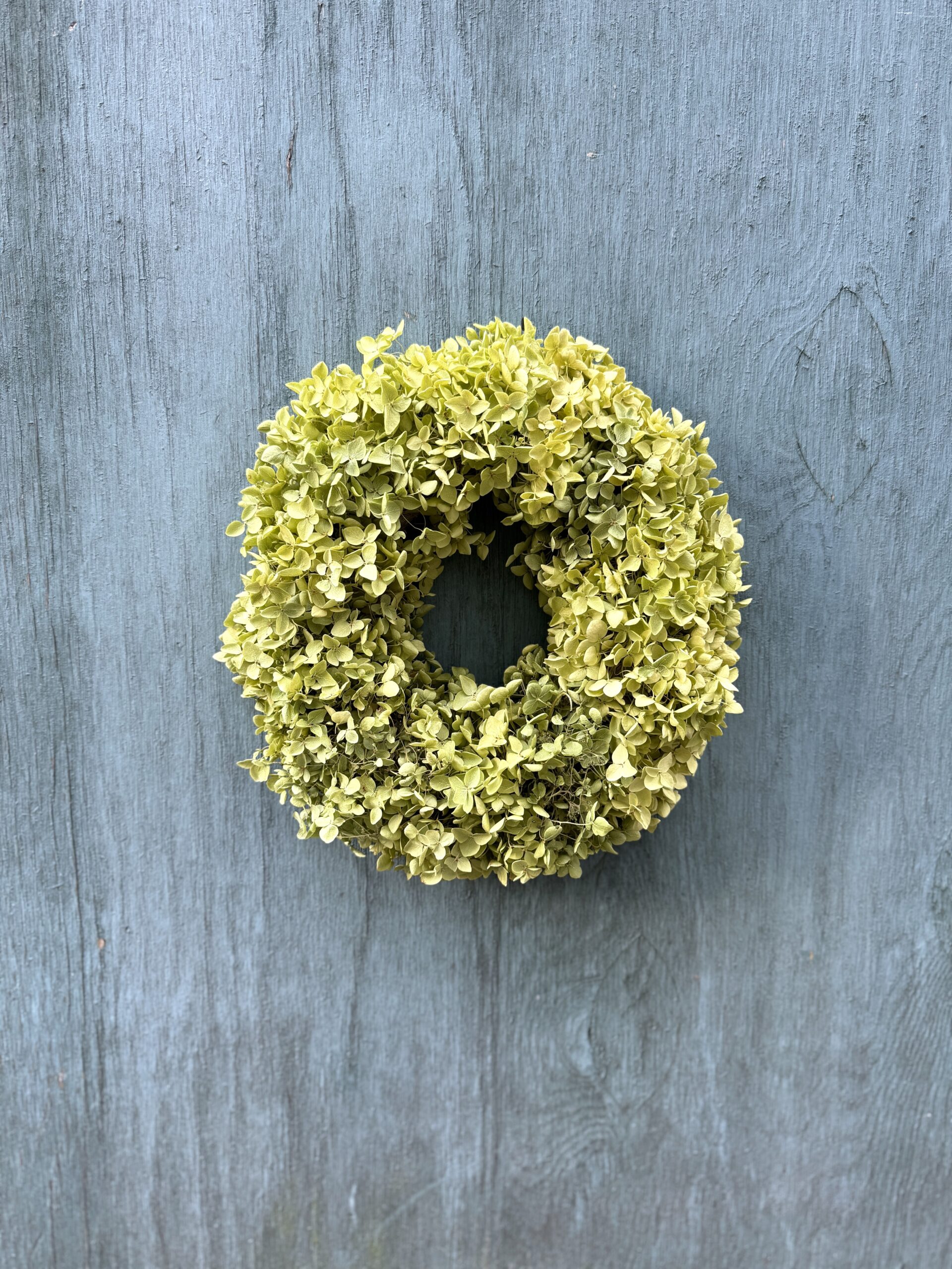 Hortensiakrans grøn - Happyflower-dk